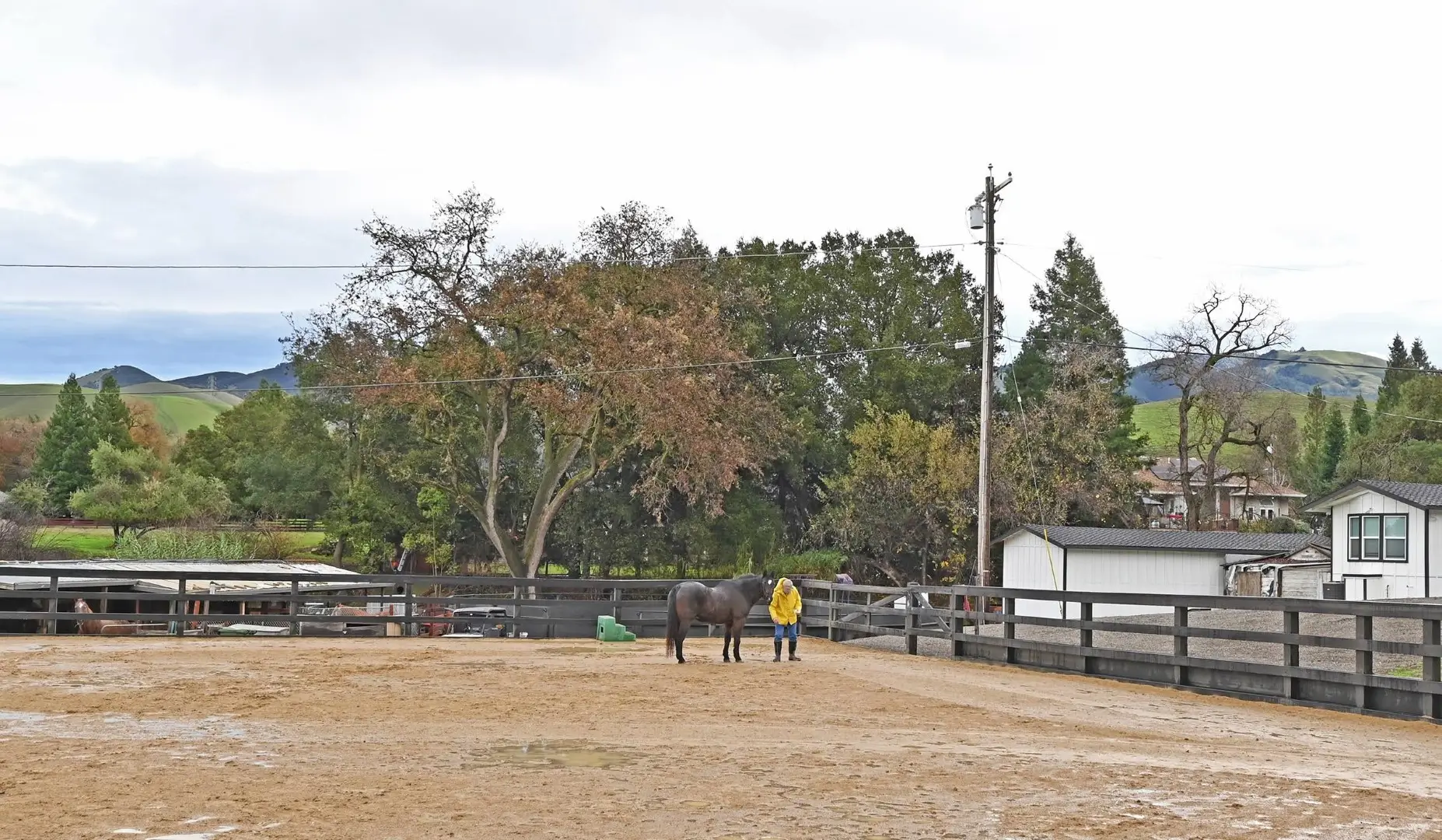 Equestrian center staff member working with a horse in the facility.