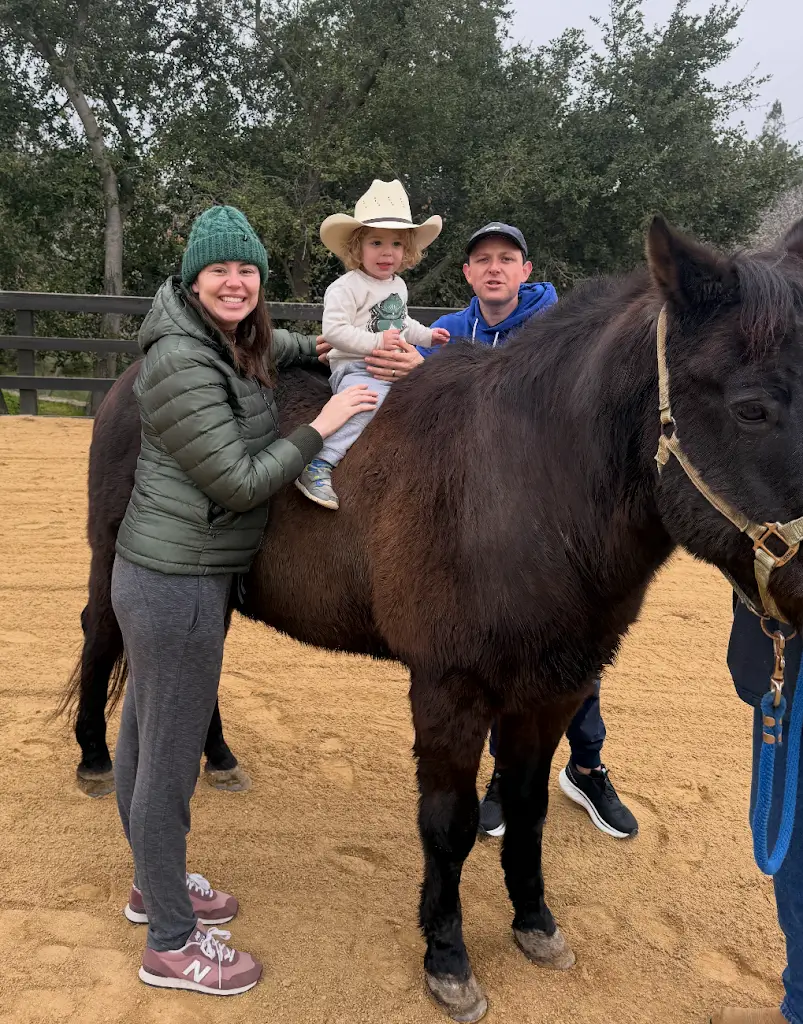 Young family of three standing next to a black horse with their baby sitting on top.